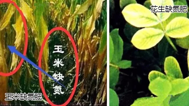 殺蟲劑，殺菌劑，沖施肥，葉面肥，植物生長調(diào)節(jié)劑